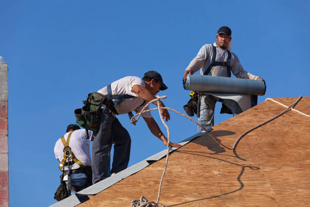Professional Roofing Contractor in Sterling, IL