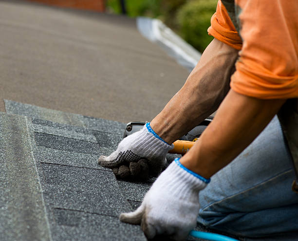 Quick and Trustworthy Emergency Roof Repair Services in Sterling, IL